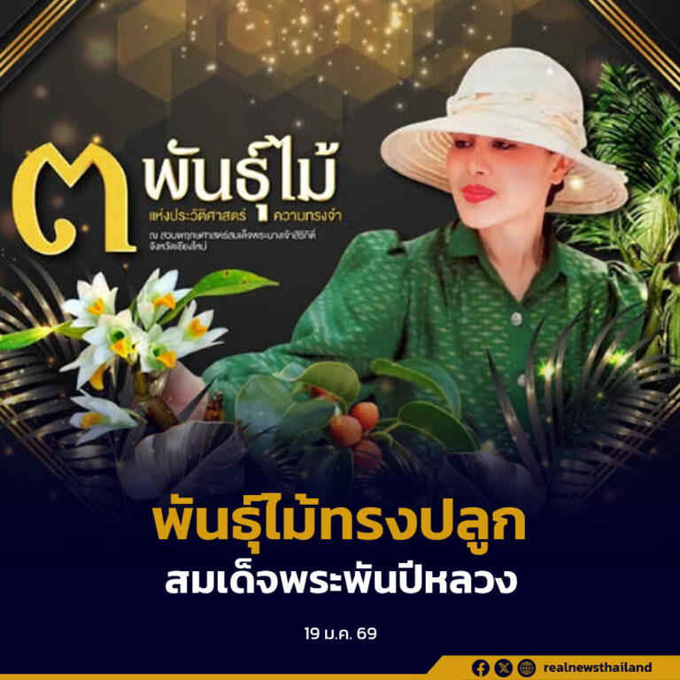 3 พันธุ์ไม้แห่งประวัติศาสตร์ความทรงจำ ณ สวนพฤกษศาสตร์สมเด็จพระนางเจ้าสิริกิติ์ จังหวัดเชียงใหม่