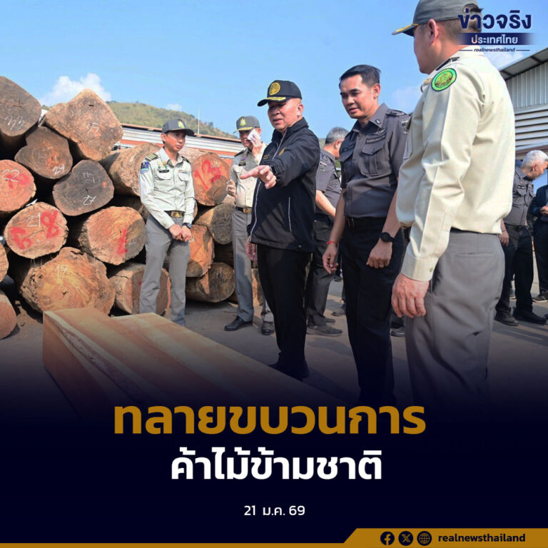 DSI ผนึกกำลังกรมอุทยานฯ-ป่าไม้ ทลายขบวนการค้าไม้ข้ามชาติ ยึดของกลางมูลค่าซื้อขายในต่างประเทศกว่า 2,500 ล้านบาท