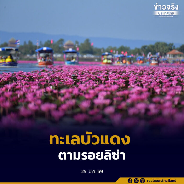 ทะเลบัวแดง จังหวัดอุดรธานี คึกคัก นักท่องเที่ยวเข้าแถวซื้อตั๋ว “ชมบัวแดงตามรอยลิซ่า”