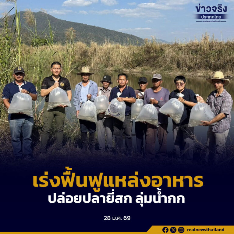อำเภอแม่อาย จังหวัดเชียงใหม่ เร่งฟื้นฟูแหล่งอาหาร ปล่อยปลายี่สก 1.5 หมื่นตัว เยียวยาราษฎรลุ่มน้ำกก
