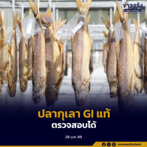 กรมทรัพย์สินทางปัญญา เดินหน้าสร้างระบบตรวจสอบย้อนกลับ GI SMARTTRACE กับ “ปลากุเลาเค็มตากใบ” เพิ่มความเชื่อมั่นผู้บริโภค ยกระดับสินค้า GI ชายแดนใต้