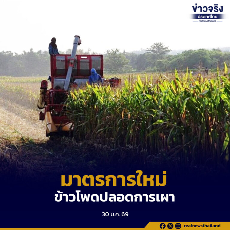 กรมวิชาการเกษตรกำหนดมาตรการนำเข้าข้าวโพดเลี้ยงสัตว์ปลอดการเผา ให้สอดคล้องประกาศกระทรวงพาณิชย์ มีผลบังคับใช้ 1 กุมภาพันธ์นี้