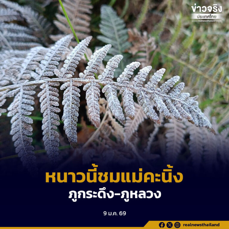 หนาวจัดภูกระดึง-ภูหลวง เกิด“แม่คะนิ้ง”รอนักท่องเที่ยวมาสัมผัส