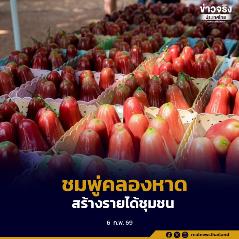 กรมทรัพย์สินทางปัญญาขึ้นทะเบียน “ชมพู่คลองหาด” เป็นสินค้า GI ใหม่ สร้างมูลค่าทางเศรษฐกิจกว่า 70 ล้านบาทต่อปี