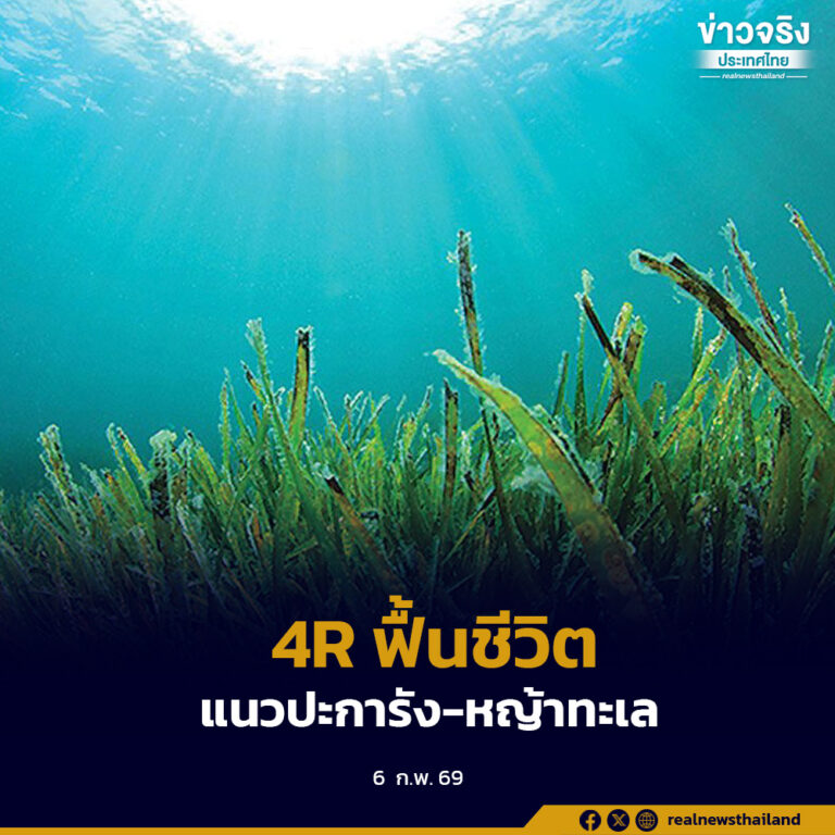 กรมทรัพยากรทางทะเลและชายฝั่ง ใช้แนวทาง 4R ฟื้นชีวิตแนวปะการัง-หญ้าทะเล คืนความอุดมสมบูรณ์ให้ทะเลไทย