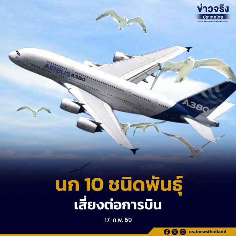 กพท.เปิดข้อมูลนก 10 ชนิดพันธุ์ ที่มีความเสี่ยงต่อการบินในประเทศไทย