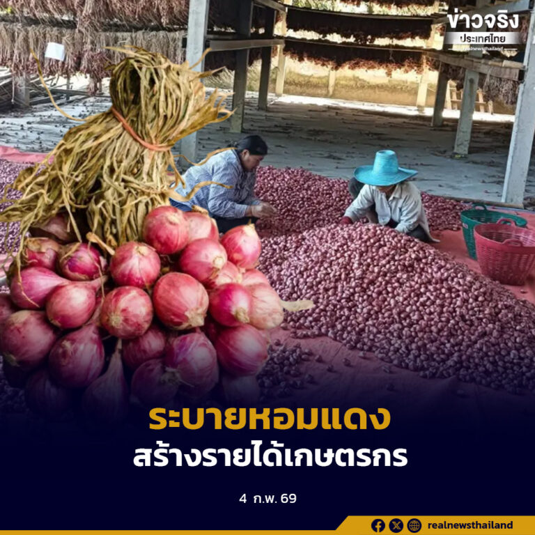 ปล่อยคาราวานกระจายหอมแดงของจังหวัดศรีสะเกษ มุ่งระบายผลผลิตในพื้นที่ สร้างรายได้ให้เกษตรกร