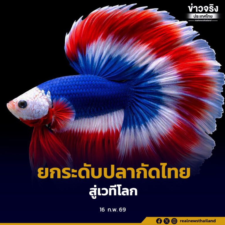 ยกระดับปลากัดไทยสู่เวทีโลก กรมประมง เปิดตัวหนังสือมาตรฐาน–เกณฑ์ตัดสินฉบับใหม่ พร้อมใช้ทั่วประเทศ