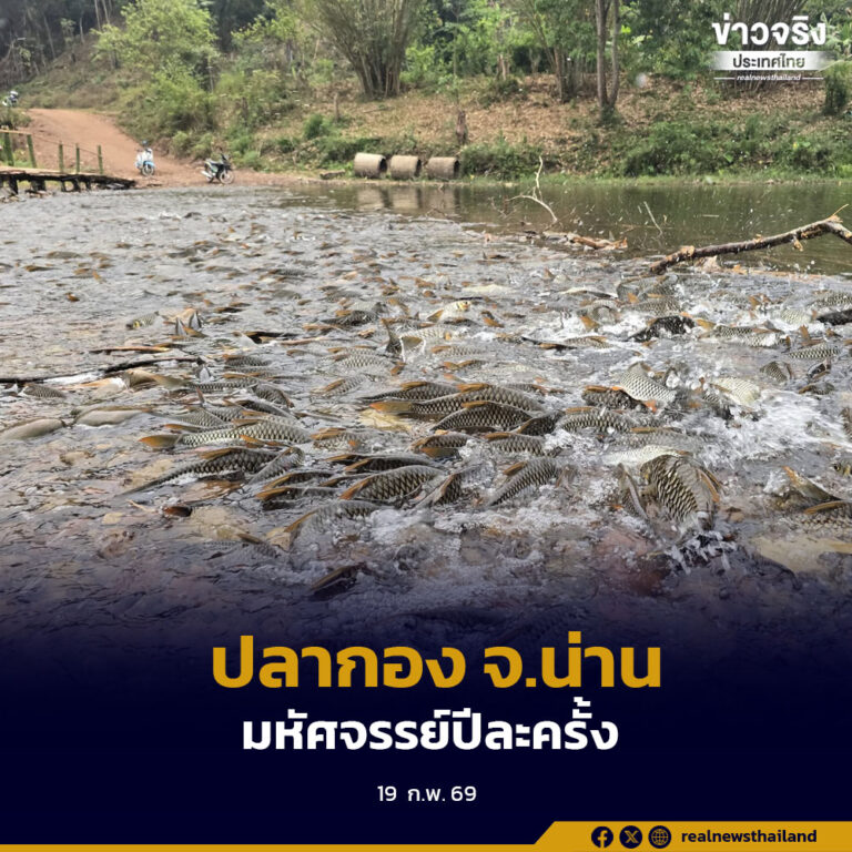 กรมประมงผลักดันปรากฏการณ์ “ปลากอง” จ.น่าน แห่งเดียวในไทย สู่แหล่งท่องเที่ยวเชิงอนุรักษ์ สร้างรายได้ควบคู่การฟื้นฟูระบบนิเวศ