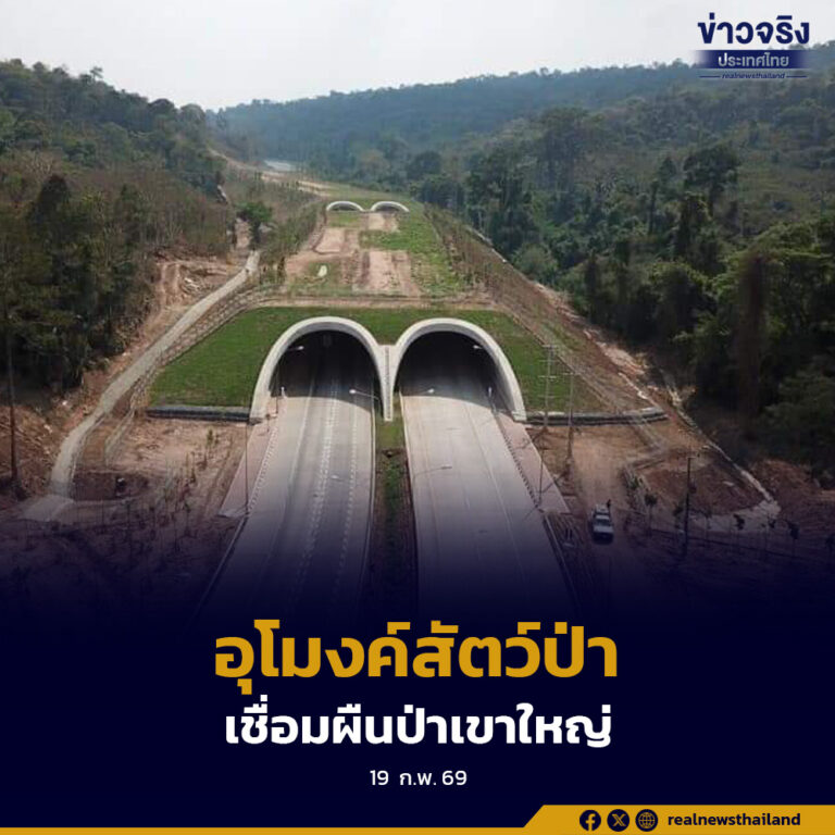 กรมทางหลวงเผยผลอุโมงค์เชื่อมผืนป่า ทล.304 ใช้งานได้จริง สัตว์ป่าเพิ่มขึ้น 16 ชนิด สะท้อนโครงสร้างพื้นฐานที่คำนึงถึงระบบนิเวศอย่างเป็นรูปธรรม