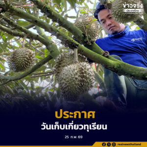 กรมส่งเสริมการเกษตร ประกาศวันเก็บเกี่ยวทุเรียนภาคตะวันออก เน้นผลผลิตออกสู่ตลาดมีคุณภาพ