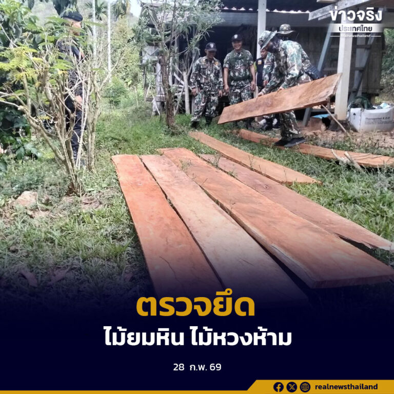 ตรวจยึด “ไม้ยมหิน” ในพื้นที่ ขสป.แม่น้ำภาชี กรมอุทยานฯ ย้ำ แม้ได้สิทธิ์ที่ทำกิน ก็ห้ามตัดไม้หวงห้าม