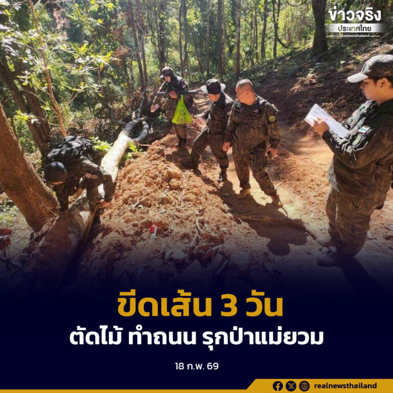 “สุชาติ”เอาจริง ตั้งสอบไม่ไว้หน้าใคร ขีดเส้น 3 วัน ปมตัดไม้–ทำถนนรุกป่าแม่ยวม