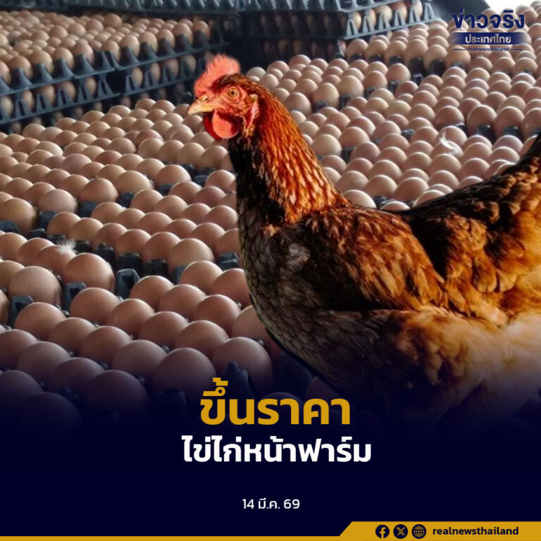 เครือข่ายสหกรณ์ผู้เลี้ยงไก่ไข่ประกาศปรับขึ้นราคาไข่ไก่คละหน้าฟาร์ม 20 สตางค์ต่อฟอง เป็นฟองละ 3.40 บาท มีผลตั้งแต่ 16 มีนาคม 2569