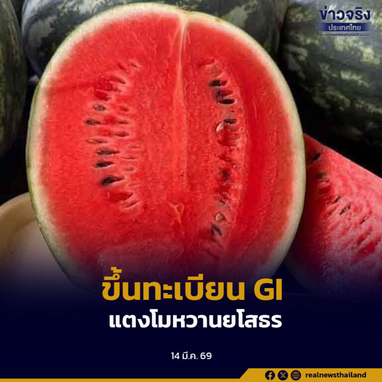 กรมทรัพย์สินทางปัญญาขึ้นทะเบียน GI “แตงโมหวานยโสธร” สินค้าเกษตรพรีเมียมจากภาคอีสาน รสหวานฉ่ำ เนื้อกรอบ เอกลักษณ์เฉพาะถิ่น ช่วยเพิ่มมูลค่าและรายได้ให้เกษตรกรในพื้นที่