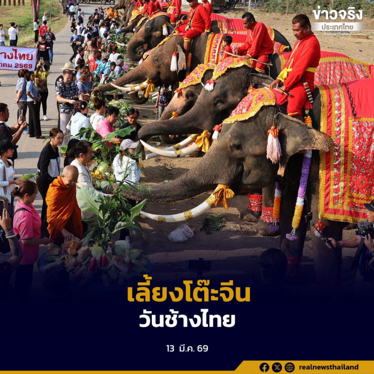 วังช้างอยุธยาแลเพนียดจัดพิธีทำบุญวันช้างไทย บวงสรวงศาลปะกำช้าง พร้อมเลี้ยงโต๊ะจีนผลไม้ให้ช้าง 70 เชือก เพื่ออุทิศส่วนกุศลให้ช้างที่ล่วงลับ