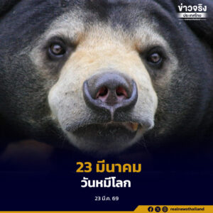 23 มีนาคม “วันหมีโลก” ส่งเสริมการสร้างความตระหนักรู้เพื่อไม่ให้ “หมี” สูญพันธุ์
