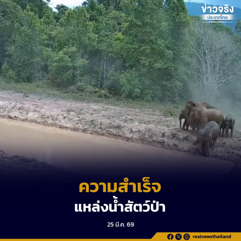 ภาพความสำเร็จ “แหล่งน้ำสัตว์ป่า” เตรียมขยายผลสู่ทุ่งเขาเขียว 2 แห่ง มุ่งลดปัญหาช้างป่าออกนอกพื้นที่