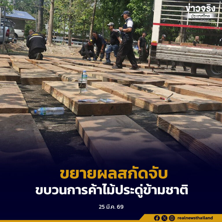 ทส.ขยายผลสกัดจับขบวนการค้าไม้ประดู่ข้ามชาติ เตรียมส่งโกดังภาคกลาง