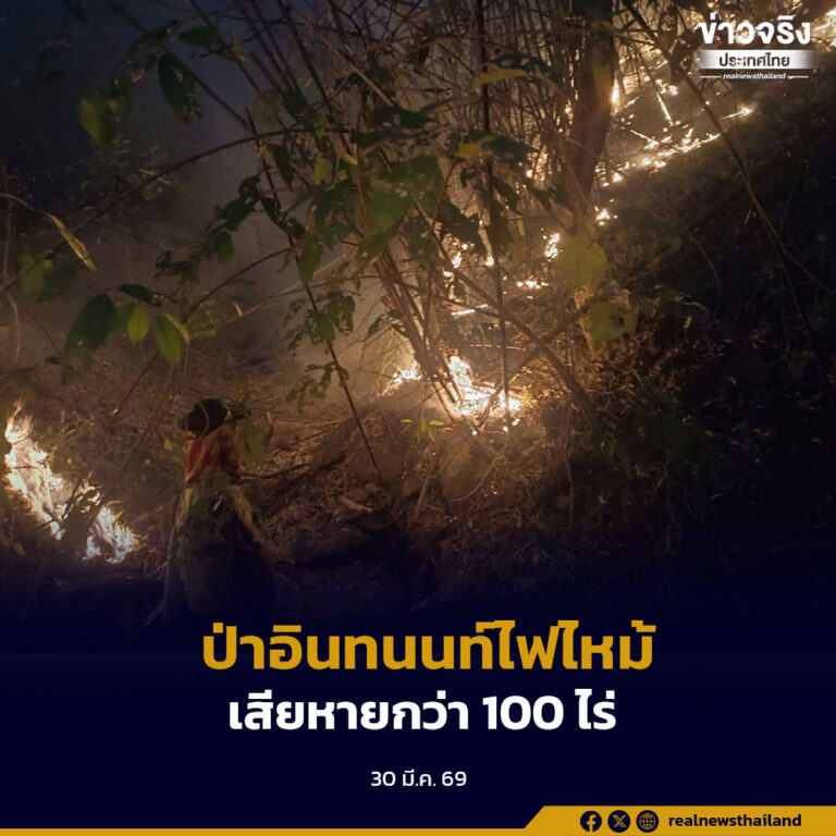 อุทยานแห่งชาติดอยอินทนนท์สกัดเพลิง 7 จุด เสียหายกว่า 100 ไร่ สาเหตุหลักเกิดจากการเผาหาของป่า