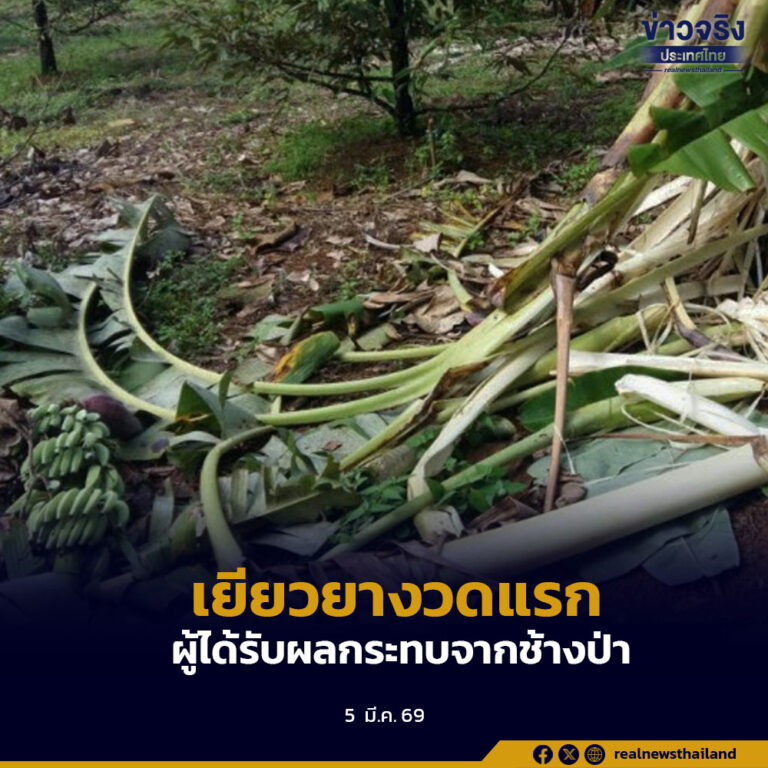 รัฐบาลสนับสนุนงบกลาง ปี 69 งวดแรกกว่า 7.3 ล้านบาท ช่วยเหลือเยียวยาผู้ได้รับผลกระทบจากช้างป่า