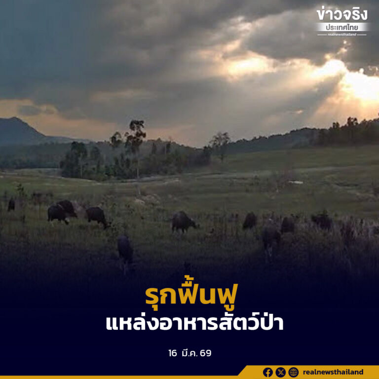 กรมอุทยานฯ ขานรับนโยบาย ทส. รุกจัดการทุ่งหญ้าเชิงวิชาการ ฟื้นฟูแหล่งอาหารสัตว์ป่าอย่างยั่งยืน