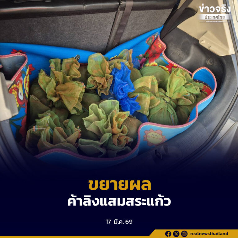 สั่งด่วน ขยายผลทลายเครือข่ายค้าลิงแสมสระแก้ว หลังรวบผู้ต้องหาพร้อมลิงแสมของกลาง 38 ตัว