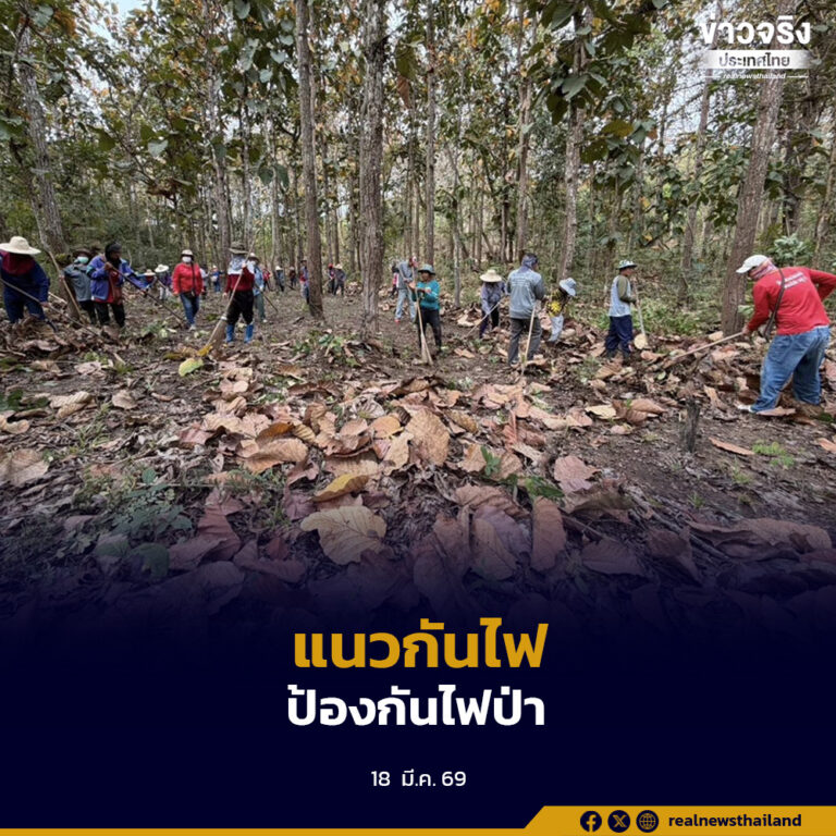 อำเภอแม่อาย เดินหน้าทำแนวกันไฟ  ป้องกันแก้ไขปัญหาไฟป่าและฝุ่นละอองขนาดเล็ก (PM2.5)