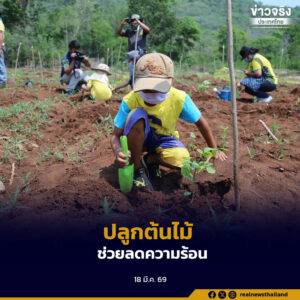 กรมป่าไม้ ปรับรูปแบบภารกิจลาดตระเวนและดับไฟป่าใหม่ พร้อมเชิญชวนประชาชนปลูกต้นไม้ช่วยลดอุณหภูมิความร้อน