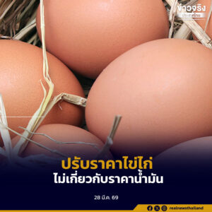 นายกสมาคมผู้เลี้ยงไก่ไข่ แจงปรับราคาไข่ไก่จากสภาพอากาศที่ร้อนจัด ไม่เกี่ยวกับราคาน้ำมัน