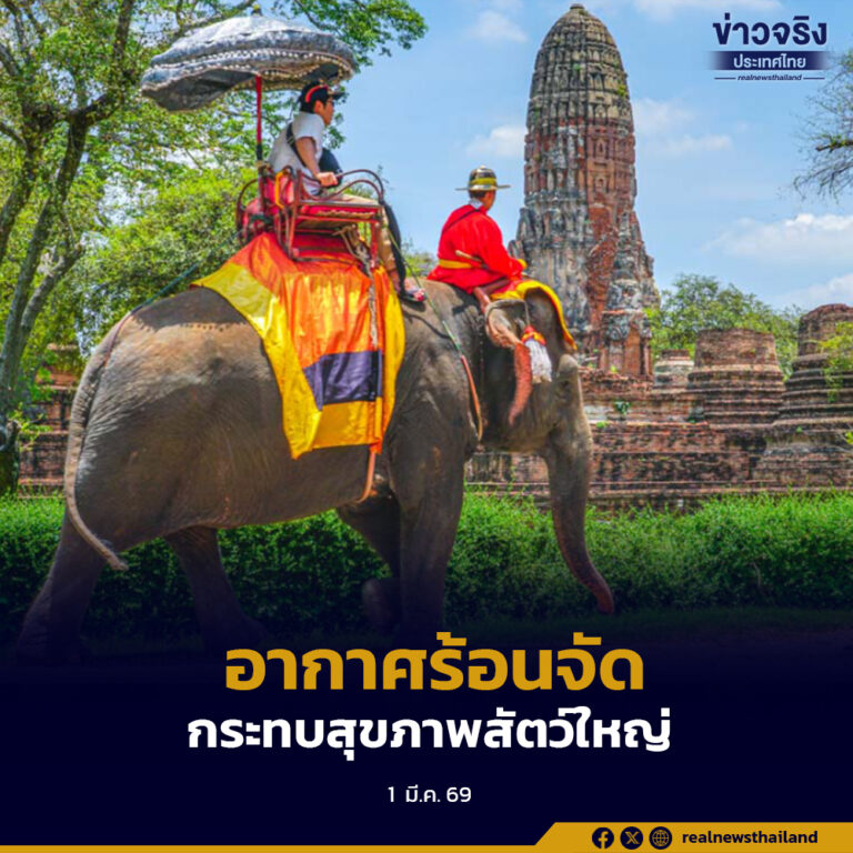 วังช้างอยุธยาเร่งเพิ่มมาตรการดูแลช้าง หลังกรมอุตุนิยมวิทยาเตือนอากาศร้อนจัด เสี่ยงกระทบสุขภาพสัตว์ใหญ่