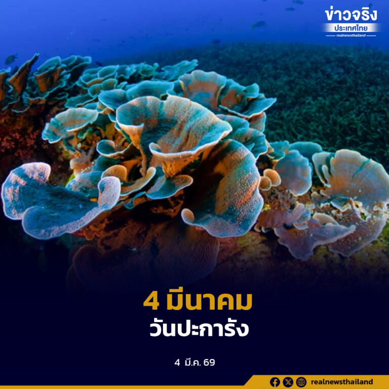 แนวปะการังเปรียบเสมือน “ป่าฝนแห่งท้องทะเล” 4 มีนาคมของทุกปี ถูกกำหนดให้เป็น “วันปะการัง”
