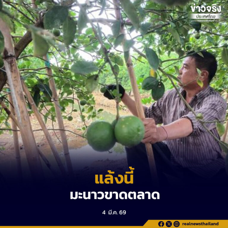 แล้งนี้ มะนาวขาดตลาด ราคาพุ่งแตะกิโลกรัมละ 80 บาท คาดแนวโน้มราคาสูงขึ้นต่อเนื่อง