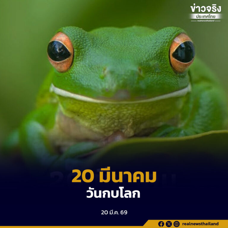 20 มีนาคมของทุกปี “วันกบโลก”สร้างความตระหนักในการอนุรักษ์สายพันธุ์ของกบทั่วโลก