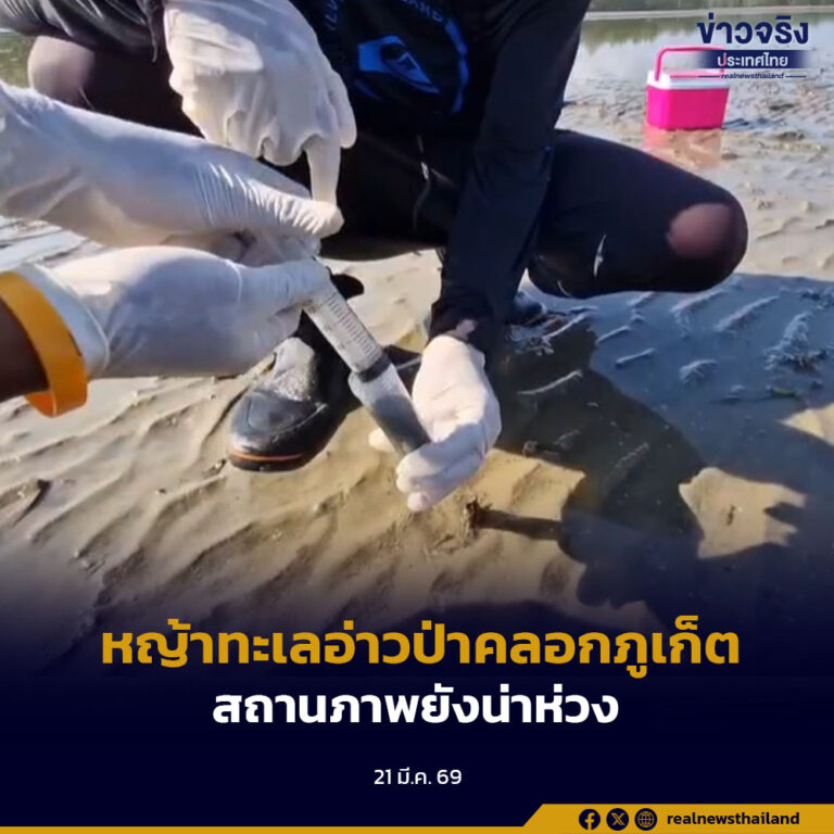 ทช. “เปิดผลสำรวจล่าสุด หญ้าทะเลอ่าวป่าคลอกภูเก็ต พบ 8 ชนิด แต่สถานภาพยังน่าห่วง”