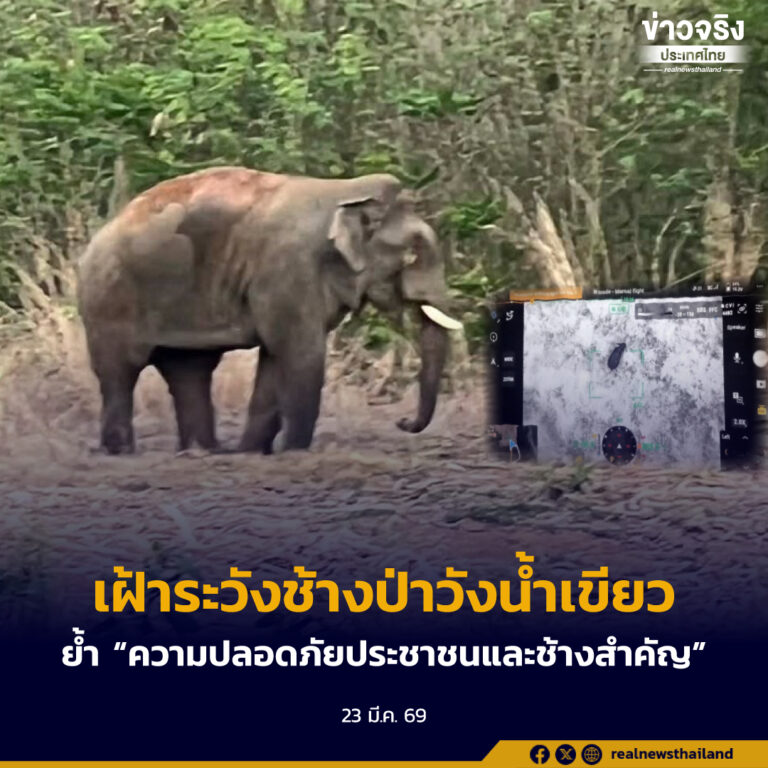 ผนึกกำลังเฝ้าระวังช้างป่าวังน้ำเขียว ย้ำนโยบาย รมว. เน้นความปลอดภัยประชาชนและช้างเป็นสำคัญ