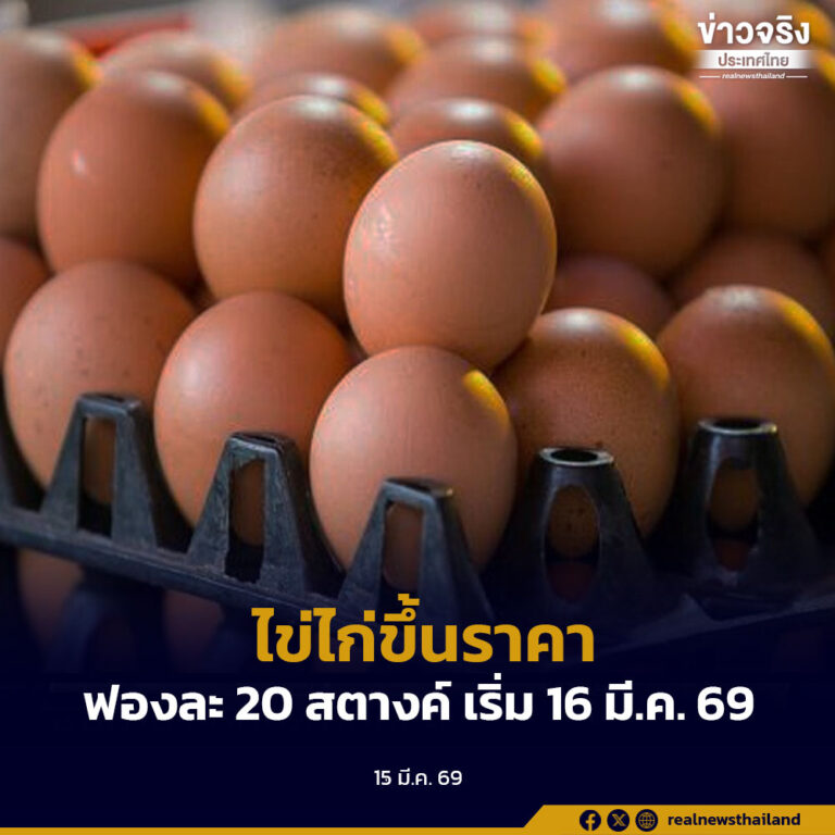 ไข่ไก่ขึ้นราคา ฟองละ 20 สตางค์เริ่ม 16 มี.ค. 69