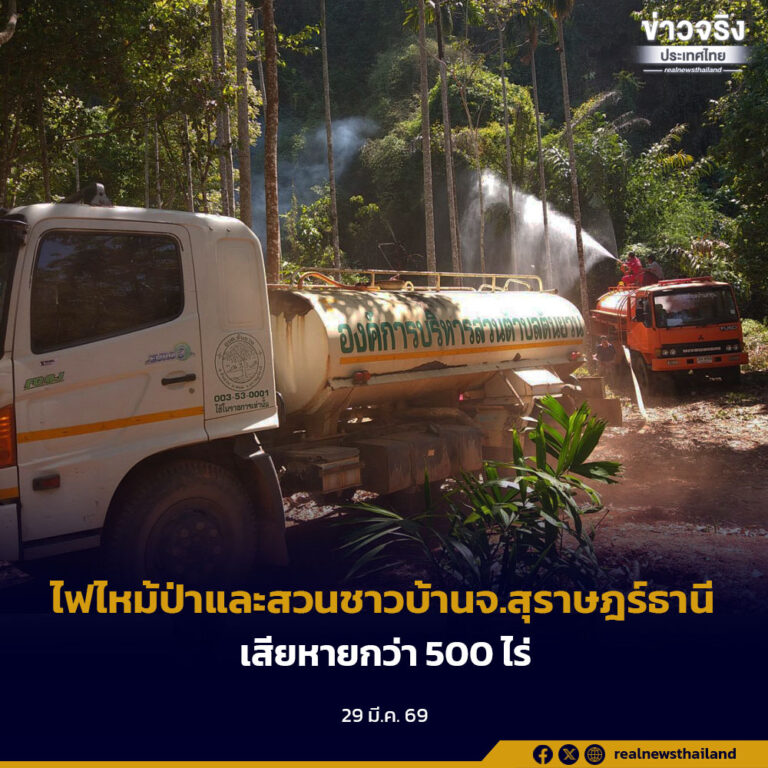 ไฟไหม้ป่าและสวนชาวบ้านจ.สุราษฎร์ธานี เสียหายกว่า 500 ไร่