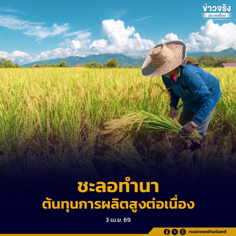 นายกสมาคมชาวนาฯ ระบุอาจมีเกษตรกรบางส่วนต้องชะลอหรือหยุดทำนา หลังภาระต้นทุนการผลิตเพิ่มขึ้นต่อเนื่อง