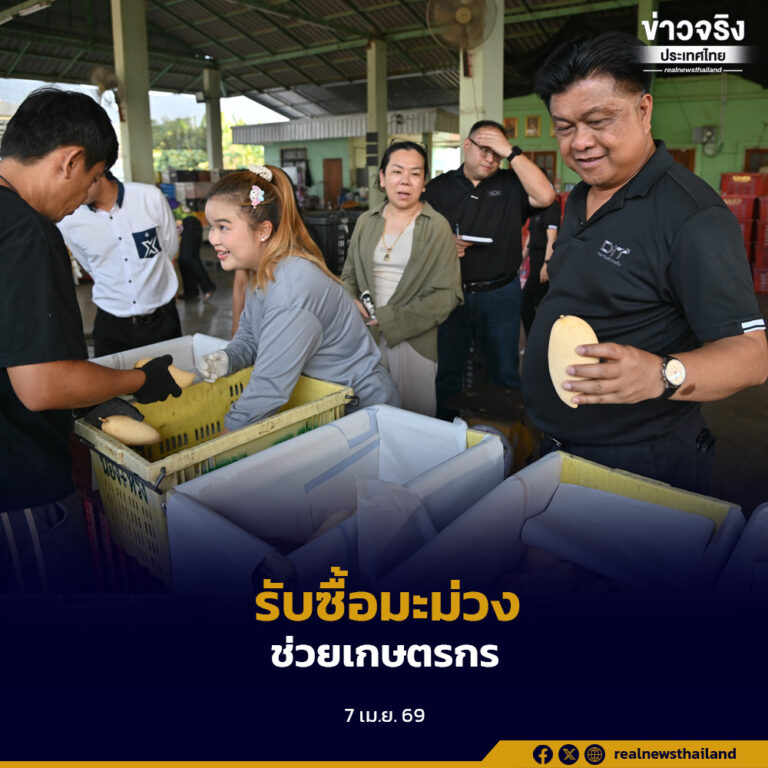 กรมการค้าภายในผนึกเอกชน รับซื้อมะม่วงภาคเหนือตอนล่างกว่า 1,000 ตัน แก้ปัญหาผลผลิตล้นตลาด