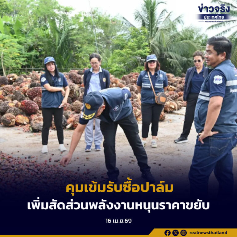 สั่งคุมเข้มรับซื้อปาล์ม ลุยเช็กลานเท–โรงงาน กันกดราคา เพิ่มสัดส่วนพลังงานหนุนราคาขยับ