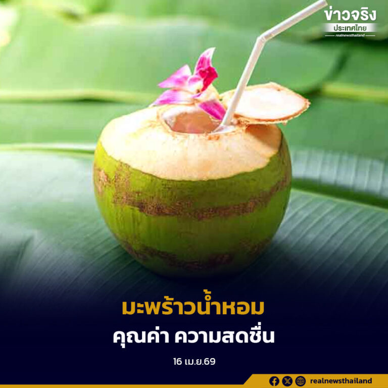 มะพร้าวน้ำหอม 1 ลูก เนื้อ-น้ำ ให้ความสดชื่นและมีคุณค่าทางโภชนาการ บำรุงผิวพรรณ