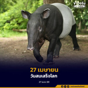 27 เมษายน “วันสมเสร็จโลก”สร้างความตระหนักภาวะใกล้สูญพันธุ์ จากการรุกรานของมนุษย์