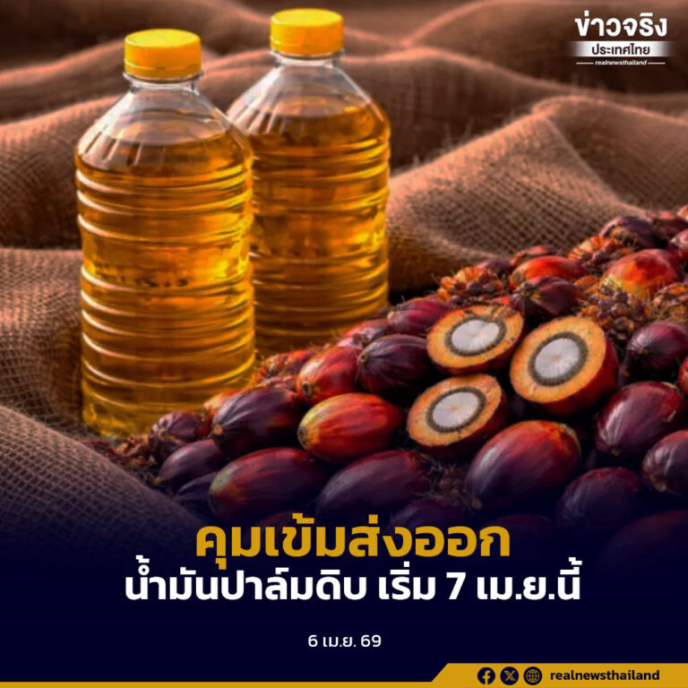 คุมเข้มส่งออก “น้ำมันปาล์มดิบ” ต้องขออนุญาตทุกครั้ง เริ่ม 7 เม.ย.นี้ป้องกันการขาดแคลนและรักษาเสถียรภาพพลังงาน