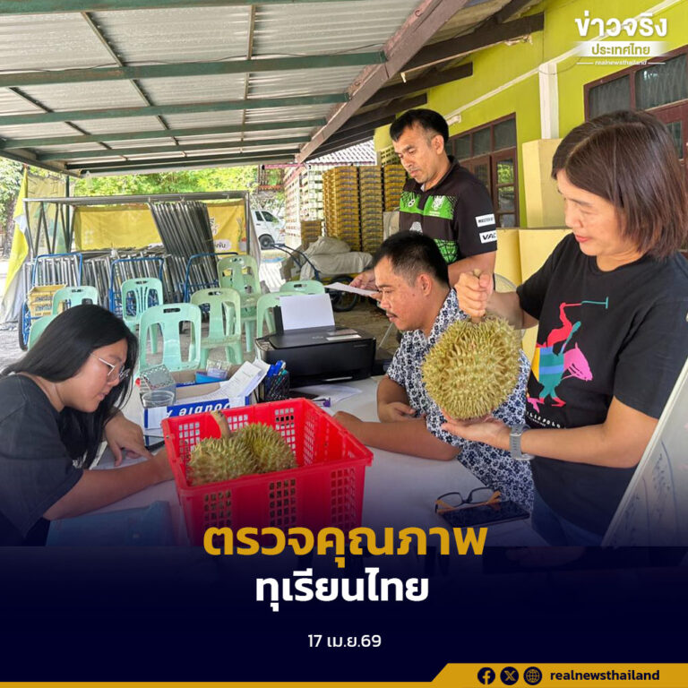 กรมวิชาการเกษตรลงพื้นที่คุมเข้มทุเรียนไทยก่อนฤดูเก็บเกี่ยว ป้องกันทุเรียนด้อยคุณภาพ รักษาความเชื่อมั่นตลาดโลก