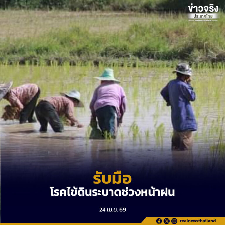 เตือนรับมือโรคไข้ดินระบาดช่วงหน้าฝน พบผู้ป่วยแล้วกว่า 790 ราย เสียชีวิต 26 ราย ย้ำกลุ่มเสี่ยงเฝ้าระวังเข้มงวด