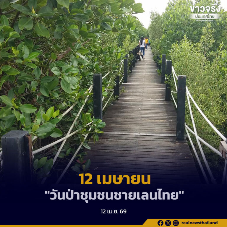 12 เมษายน “วันป่าชุมชนชายเลนไทย” ชุมชนร่วมกันอนุรักษ์ผืนป่าชายเลนของไทยให้อยู่อย่างยั่งยืน