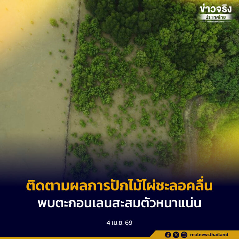 เทคโนโลยี LiDAR ติดตามผลการปักไม้ไผ่ชะลอคลื่น จ.ตราด พบตะกอนเลนสะสมตัวหนาแน่น-พื้นที่ป่าชายเลนเพิ่มขึ้นกว่า 7 ไร่