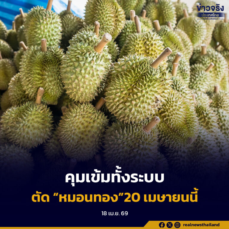คุมเข้มทั้งระบบ สร้างความเชื่อมั่นผลไม้ไทย กำหนดวันตัด “หมอนทอง” เริ่ม 20 เมษายนนี้
