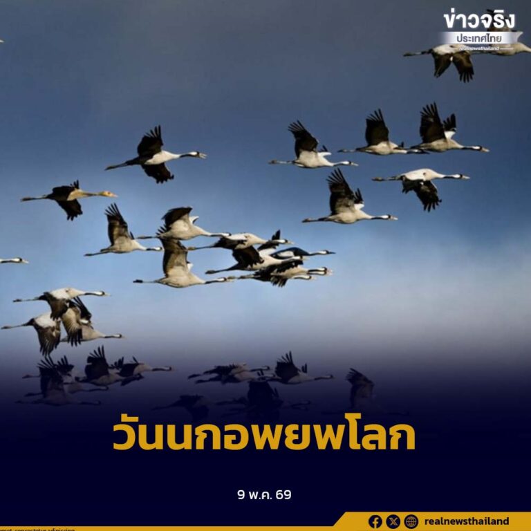 เสาร์ที่ 2 ของเดือนพฤษภาคมและเดือนตุลาคมเป็นวัน “วันนกอพยพโลก” ค้นหาสภาพแวดล้อมและแหล่งที่อยู่อาศัยที่เหมาะสม
